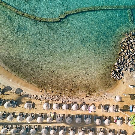 투이 매직 라이프 보드룸 호텔 Bodrum 외부 사진